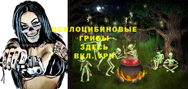 apvp Новочеркасск