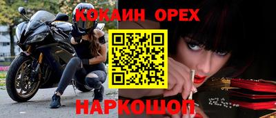 стаф Кандалакша