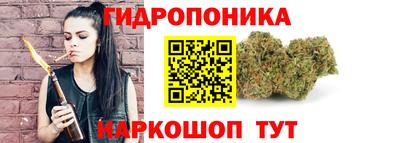 дживик Кингисепп