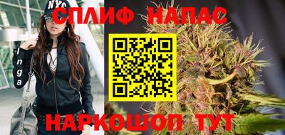 стаф Кандалакша