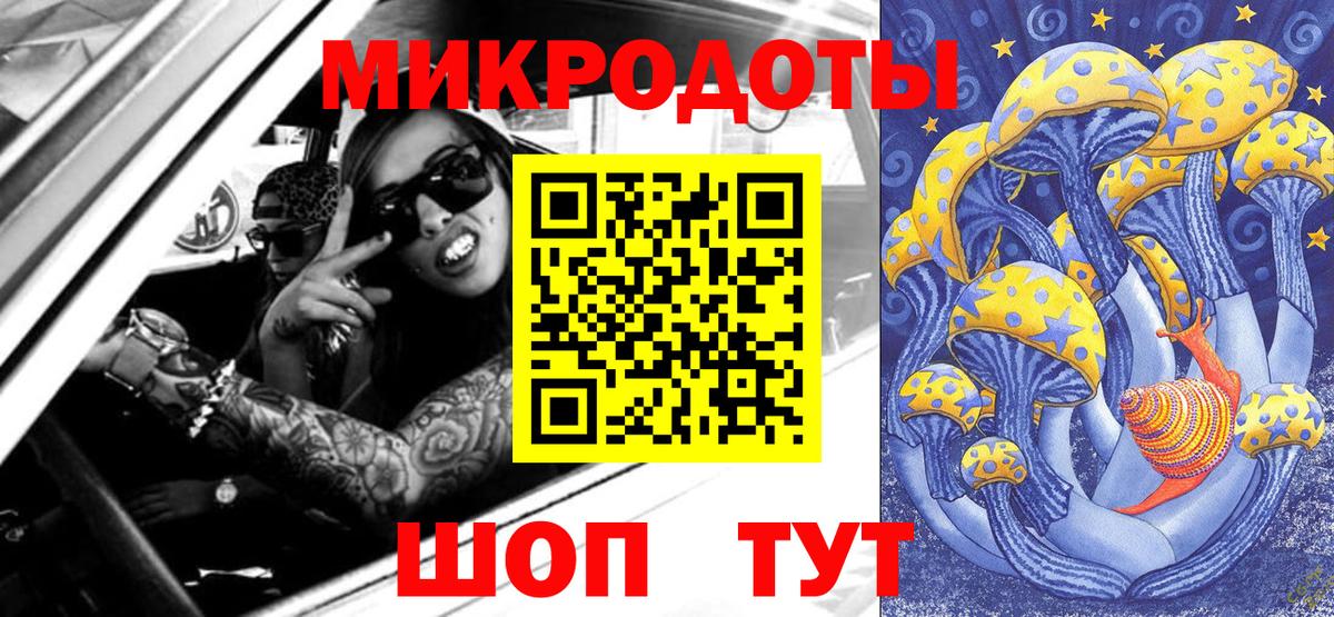 Саратов  Псилоцибиновые грибы Cubensis  Вход с VPN 