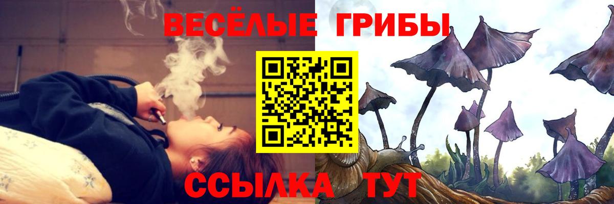 Псилоцибиновые грибы Cubensis Саратов